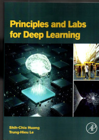 Principles and labs for deep learning
